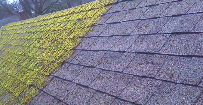 Roof Moss Removal